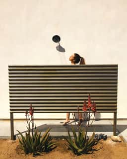 Desert Bloom • New Modern Home, Hot Tub, Soak Pool - Image 5