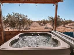 Joshua Tree Olive Farm • Serenity, Spa, Views - Image 2