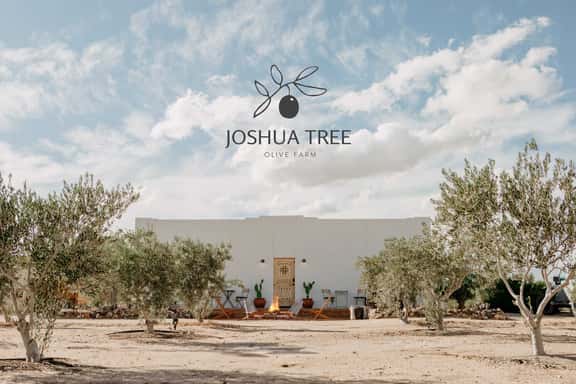 Joshua Tree Olive Farm • Serenity, Spa, Views - Image 1