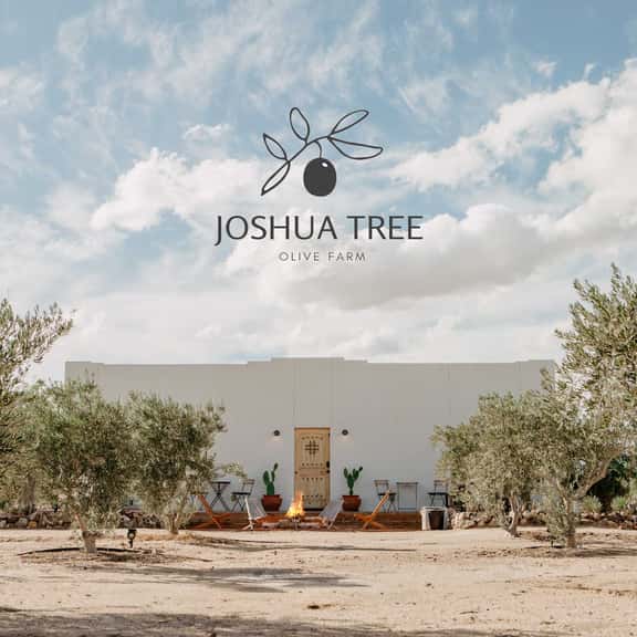 Joshua Tree Olive Farm • Serenity, Spa, Views - Image 1