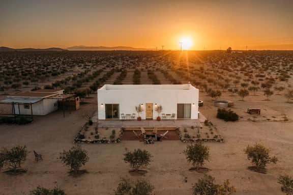 Joshua Tree Olive Farm • Serenity, Spa, Views - Image 4