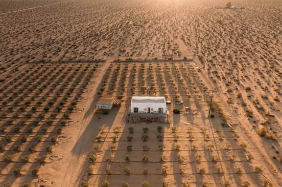 Joshua Tree Olive Farm • Serenity, Spa, Views - Image 5
